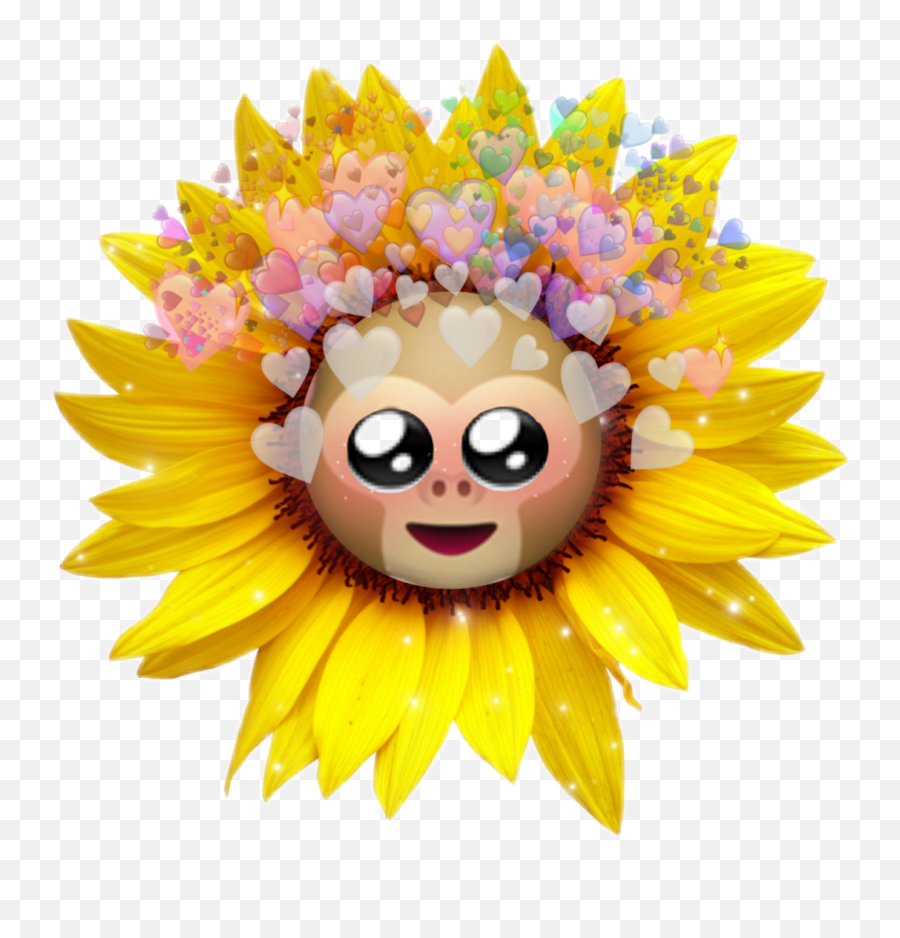 Monkey Emoji Sticker By Selma - Sunflower Transparent Art Aesthetic,Monkey Emoji