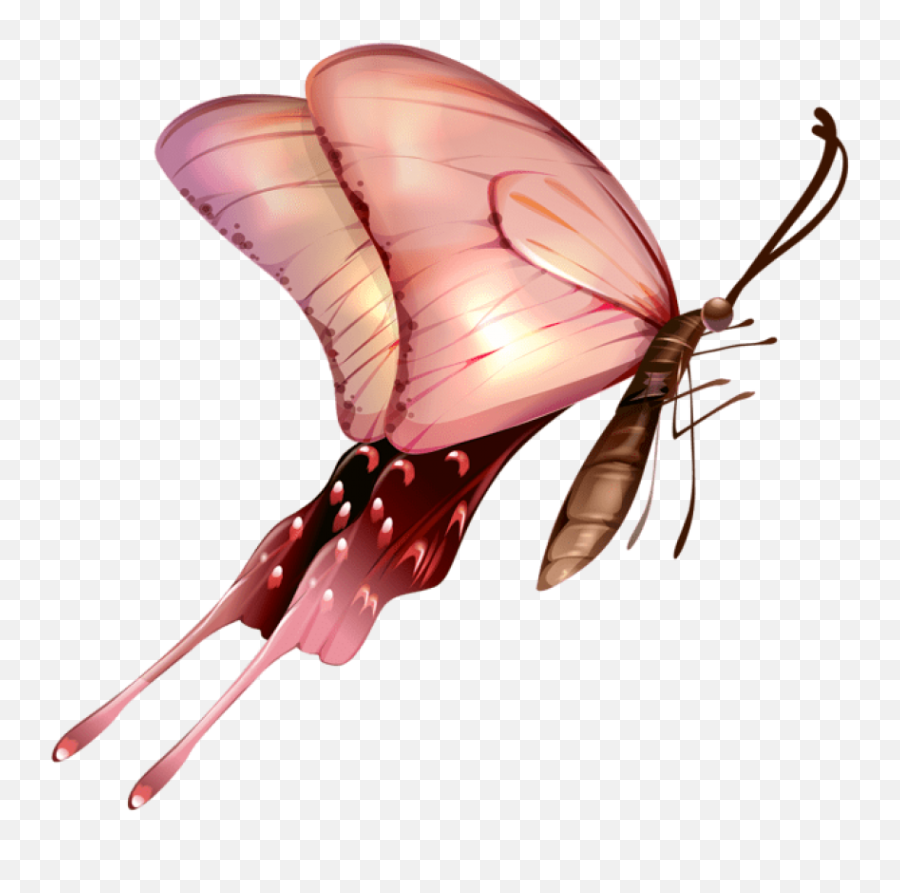 Download Butterfly Transparent Clipart Photo Top Png 2 - Parasitism Emoji,Butterfly Emoji Transparent
