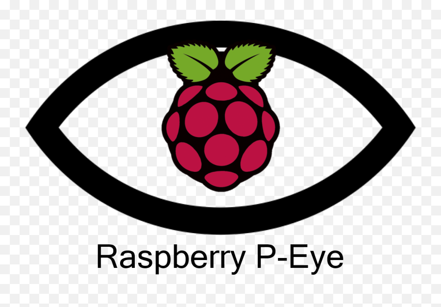 Industrial Project - Raspberry Pi Logo Png Emoji,Emotion Keren