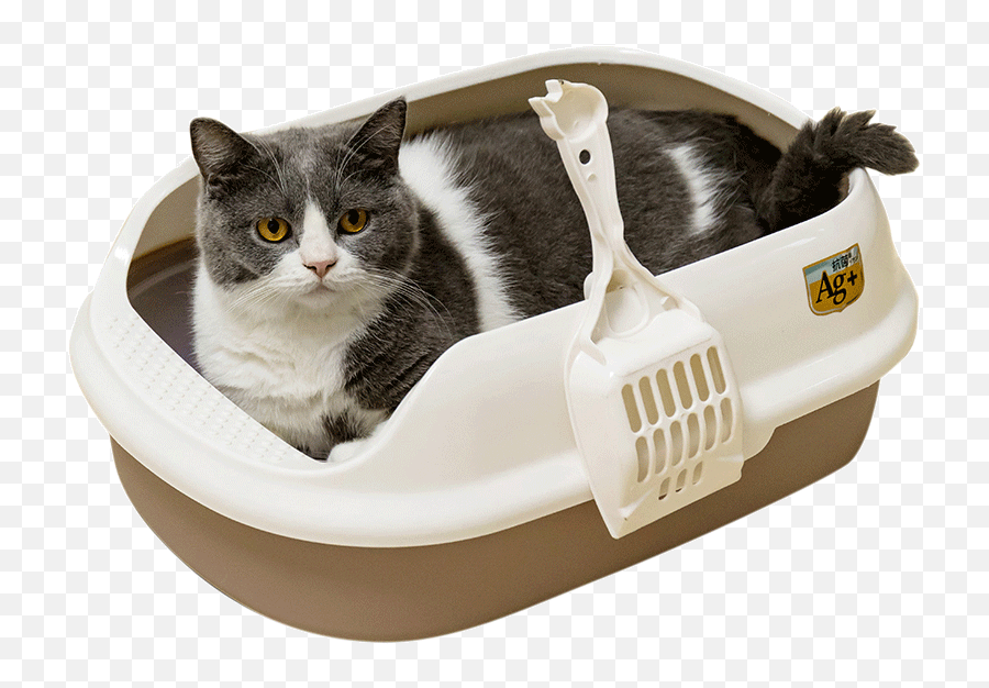 Cat Litter Box Cat Toilet 2or3layer - Litter Box Emoji,Cat Using Litter Box Emoticon