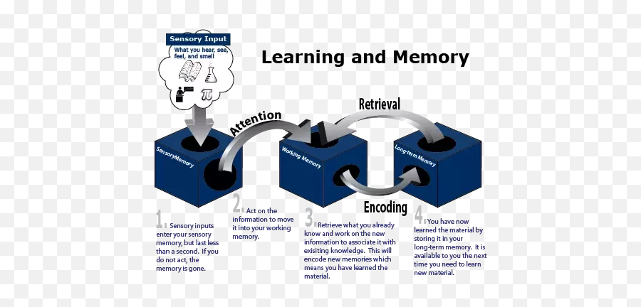 How Does The Mind Search Our Memory - Learning And Memory Related Emoji,Moonwalking With Einstein Quotes On Emotions