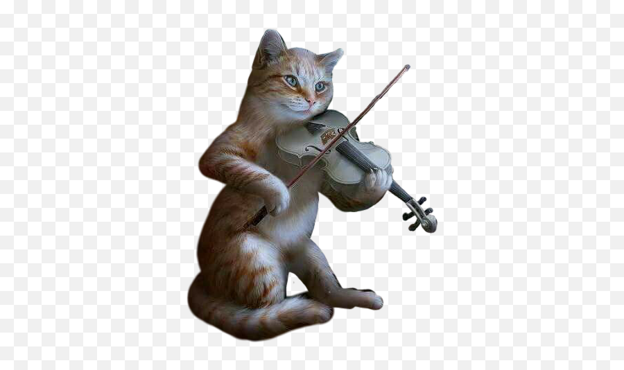 Cat Violin Music Feeling Sticker By - Cat Violinist Emoji,Violin Emoji Stickers