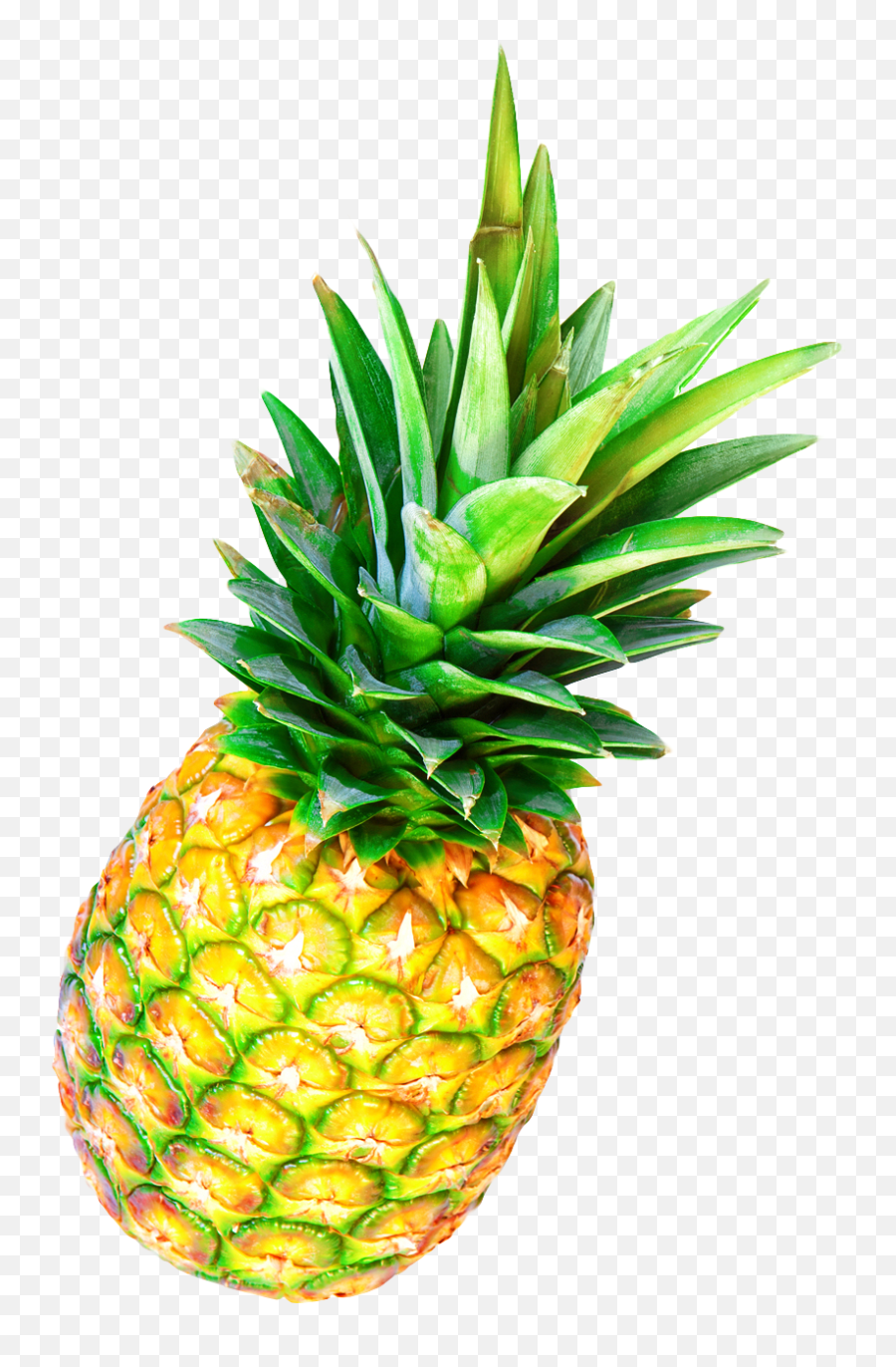 Ananas Pineapple Meme - Transparent Watercolor Pineapple Png Emoji,Owlturd Emotions Comic