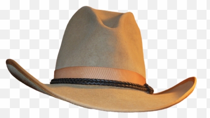 960x597 - Cowboy Hat Emoji,Animals With Cowboy Hats Emojis