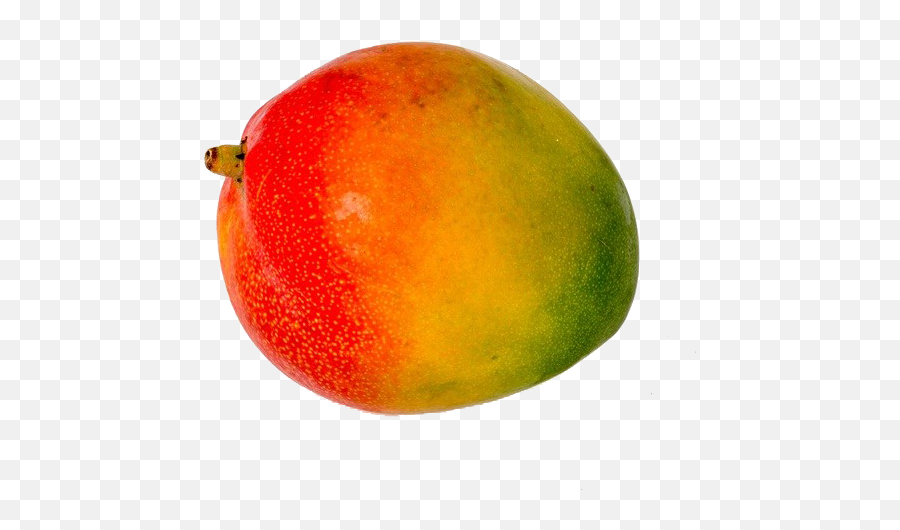 Citrus Apple Natural Foods - Colored Mango Png Download Alphonso Emoji,Transparent Mango Emoji