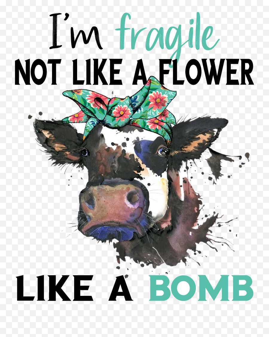 Fragile Not Like A Flower Like A Bomb Cow Quotes Funny Emoji,Emotion Dog Signs