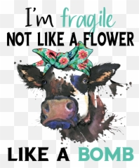 Fragile Not Like A Flower Like A Bomb Cow Quotes Funny Emoji,Emotion Dog Signs