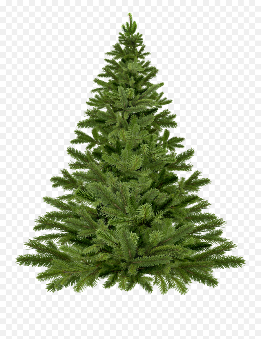 De Navidad Png Con Fondo Transparente - Plain Christmas Tree Png Emoji,Emoticon De Pinos