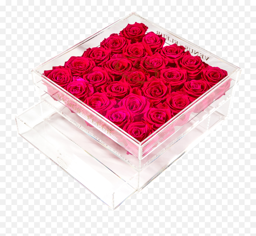 Pink Eternity Rose Arrangements U2013 Venus Et Fleur - Garden Roses Emoji,Rose Emotion Photo Settings