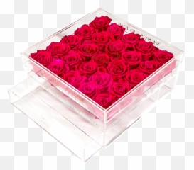 Pink Eternity Rose Arrangements U2013 Venus Et Fleur - Garden Roses Emoji,Rose Emotion Photo Settings