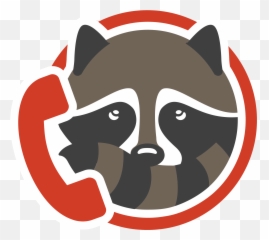 Raccoons Emoji,Raccoon Couple Emoji
