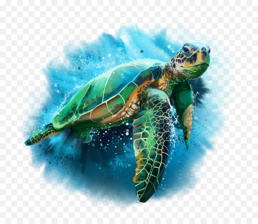 Turtle Png Free Download Png Mart Emoji,Turtles Emoji Turtle Png Free Download Png Mart Emoji,Turtles Emoji