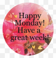 Joke Of The Day U2013 Moody New Bloggy Cat Nbc Emoji,? ???? ???? Happy Monday & Week Smile Emoticon Heart Emoticon ???? ???? ????