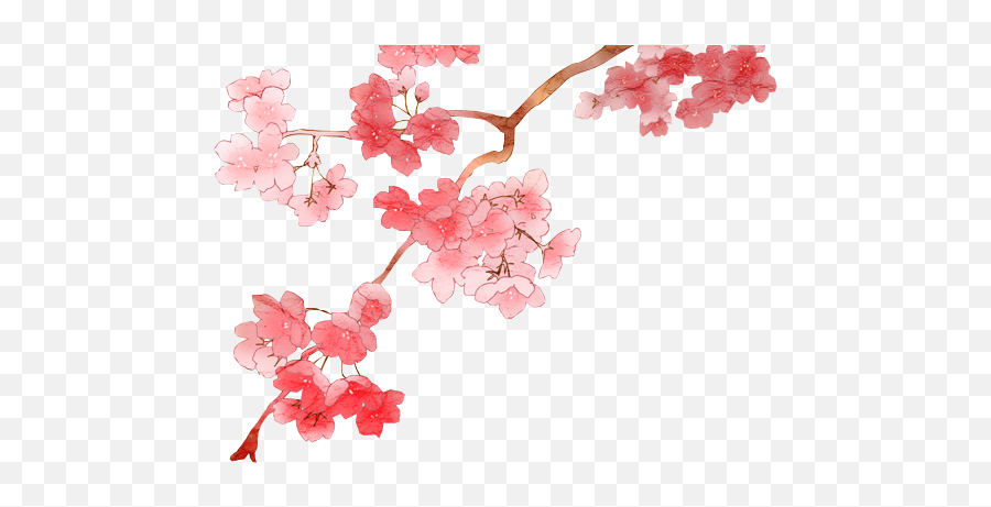 Anime Cherry Blossom Branch - Anime Cherry Blossom Png Emoji,Japanese Flower Emoji