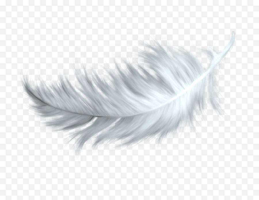 White Feather Transparent Png - Transparent Background White Feather Png Emoji,Feather Emoji