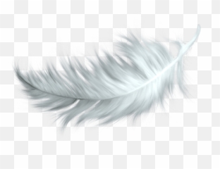 White Feather Transparent Png - Transparent Background White Feather Png Emoji,Feather Emoji
