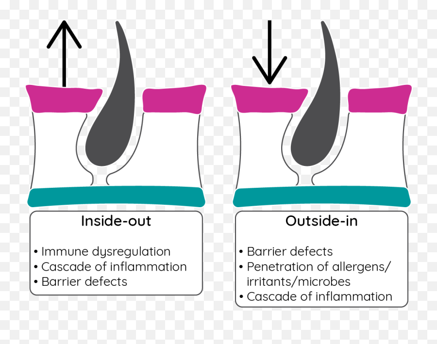 Atopic Dermatitis Overview - Inside Out And Outside In Eczema Table Emoji,G-major Emotions (inside Out)