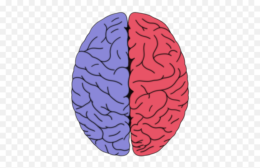 Know Your Brain Orbitofrontal Cortex Emoji,How Emotions Are Made.com