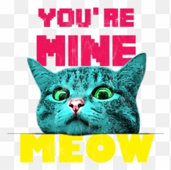 Retro Youre Mine Meow Gaming Cat Gamer Womenu0027s T - Shirt For Emoji,Shrodingers Emoticon Tshirt