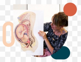 Anatomy And Physiology Of Labor And Birth U2014 Ceamny Emoji,Physcialogy And Emotions