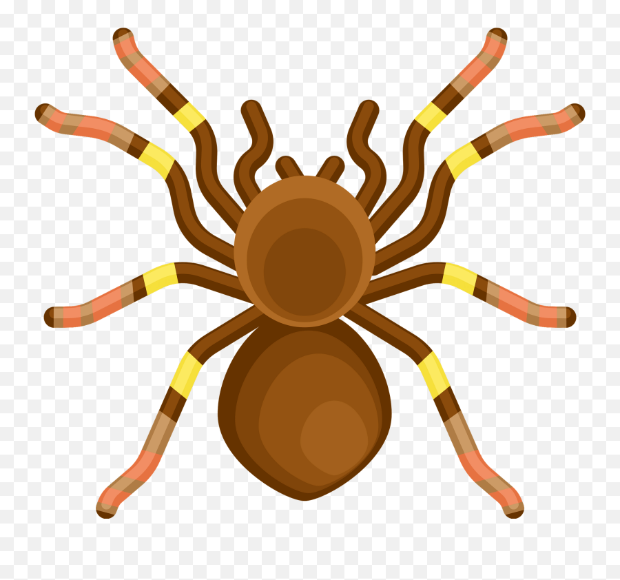 Dangerous Spider Clipart - Spider Clipart Emoji,Dangerous Emoji
