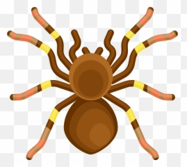 Dangerous Spider Clipart - Spider Clipart Emoji,Dangerous Emoji