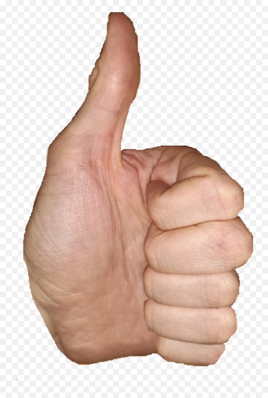 Pulgar Hacia Arriba El - Imagen Gratis En Pixabay Transparent Human Thumbs Up Emoji,Emoji Pulgar Arriba