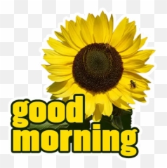 Good Morning Stickers For Whatsapp - Apps On Google Play Fresh Emoji,Have A Good Day Emoticons