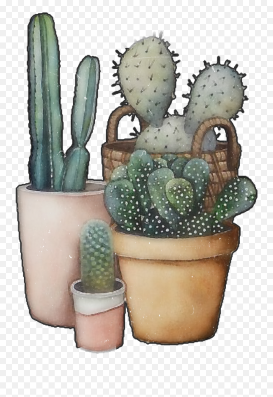 The Coolest Cactus Nature Images And - Amor De Cacto Emoji,Cactus Emojis