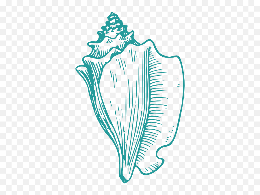 Conch Shell Lord Of The Flies Drawing - Conch Shell Clip Art Emoji,Seashell Emoji