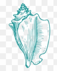 Conch Shell Lord Of The Flies Drawing - Conch Shell Clip Art Emoji,Seashell Emoji
