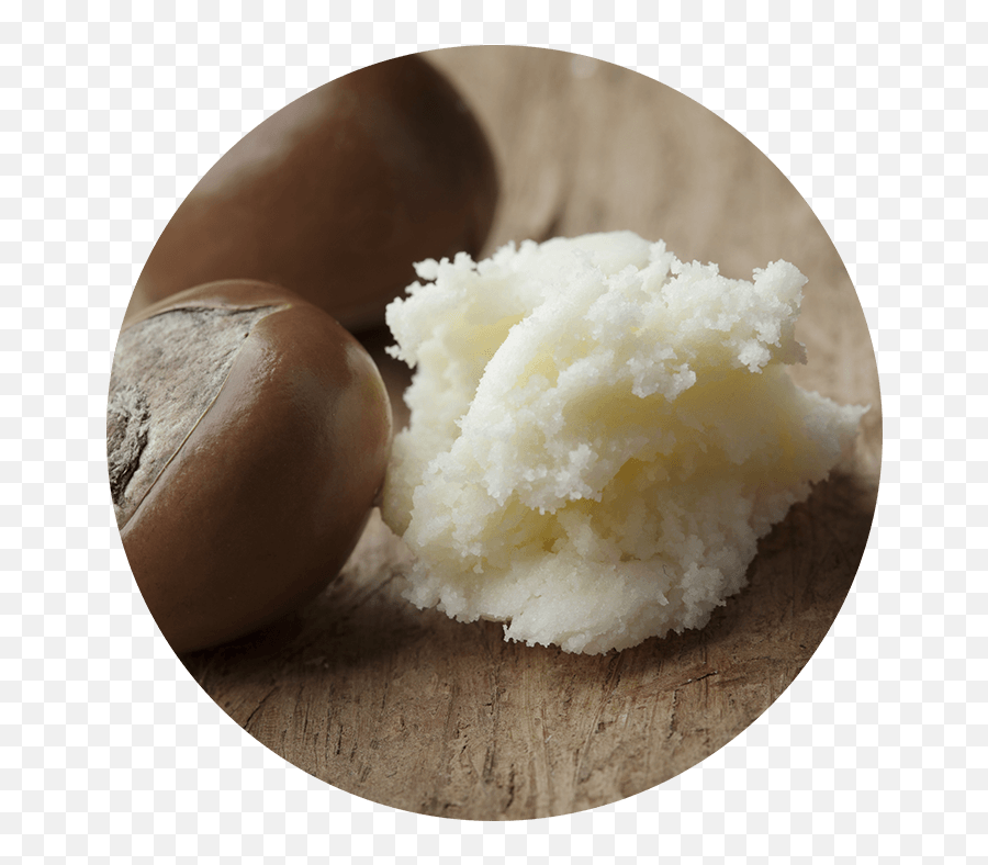 Source Vitál Apothecary Ingredient Glossary - Shea Butter Indiamart Emoji,Aerosmith Sweet Emotion Bag Of Rice