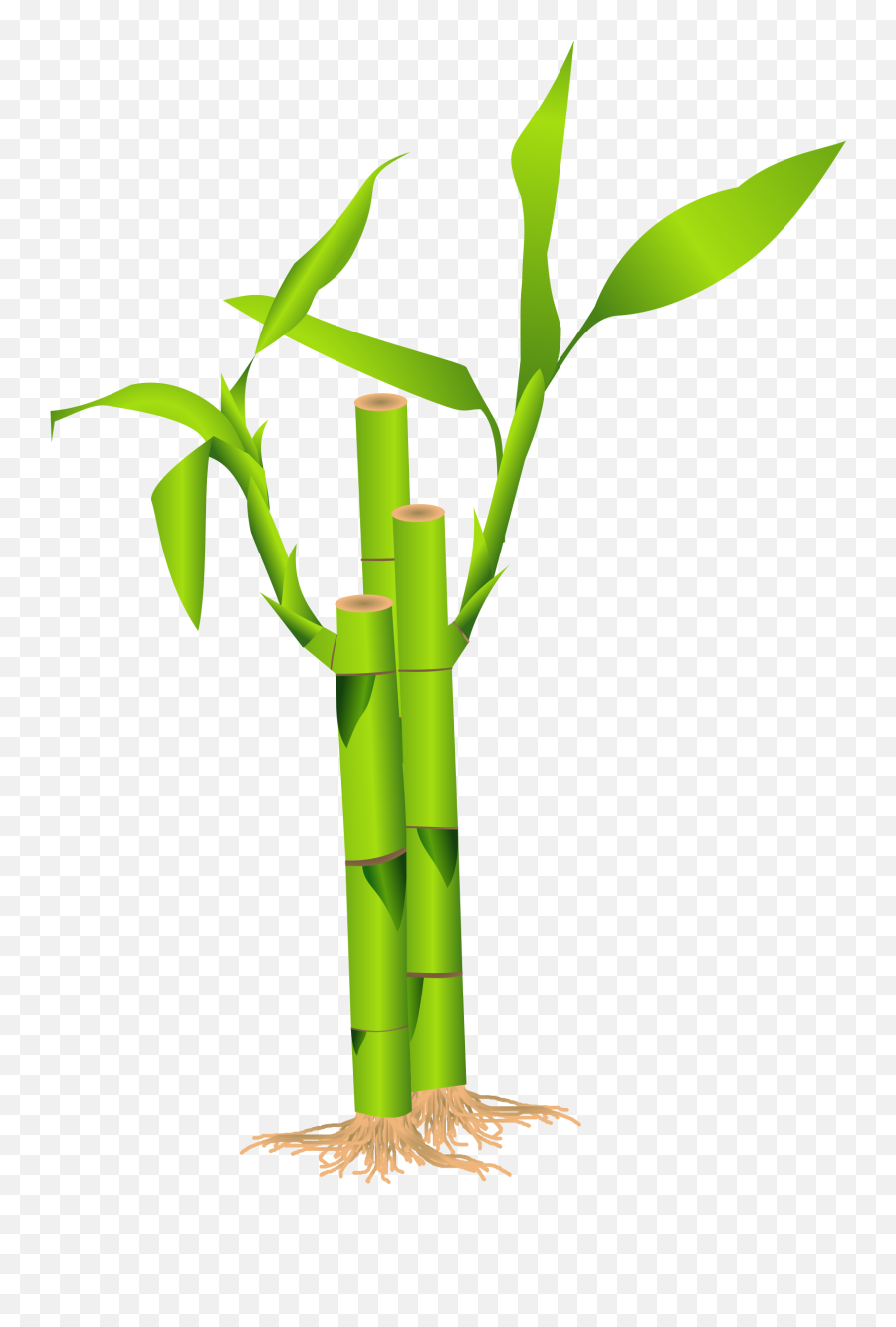 One Clipart Bamboo One Bamboo - Clip Art Bamboo Emoji,Bamboo Emoji