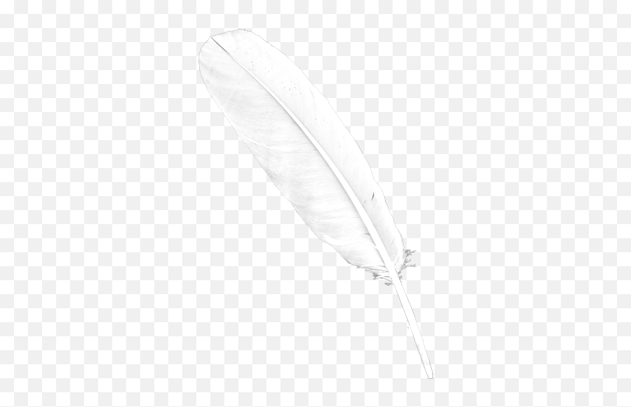 Download Transparent Background White - White Feather Png Transparent Emoji,Feather Emoji