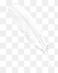 Download Transparent Background White - White Feather Png Transparent Emoji,Feather Emoji