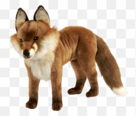 Red Fox Dhole Dog Snout - Dhole Transparent Background Emoji,Red Fox Emotion