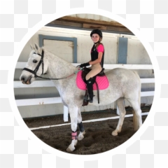 Highland Riding Stable - Halter Emoji,Emotion Horse Rider Metaphor