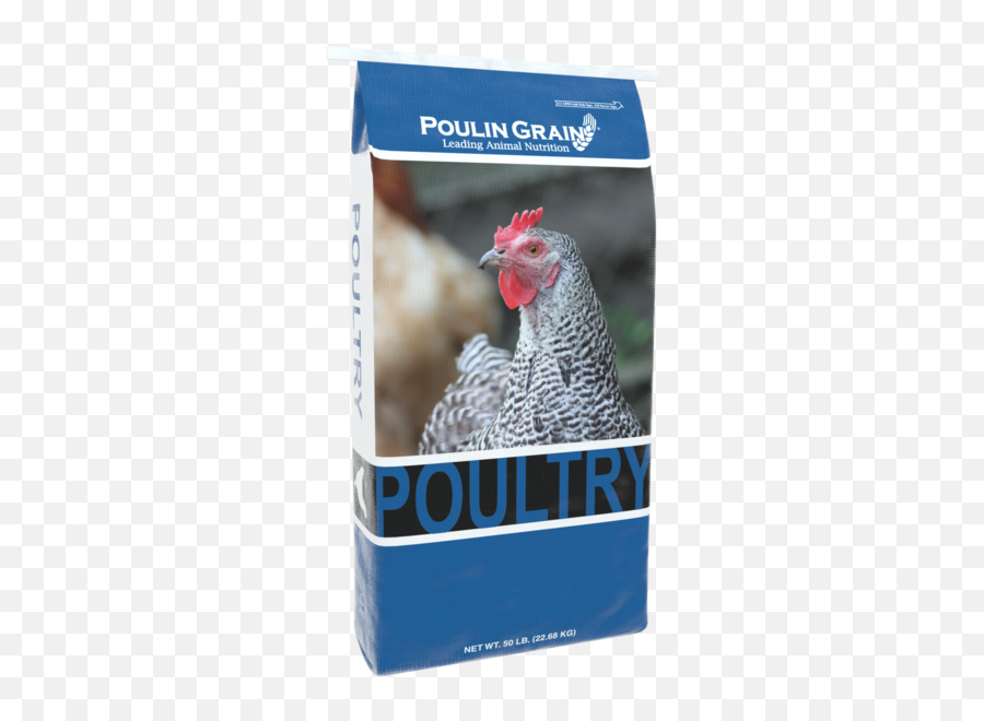 Poulin Grain - Poulin Grain Chick Starter Emoji,Facebook Emotions Chickens
