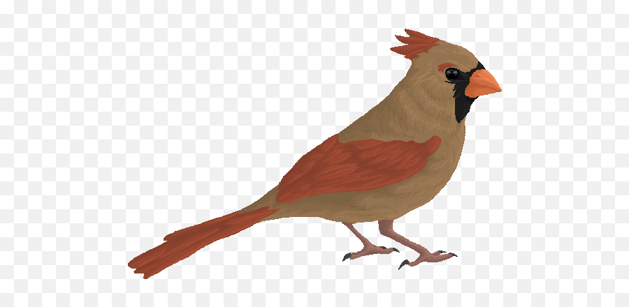 Female Cardinal Pixel - Cardinal Bird Female Png Emoji,Cardinal Bird Facebook Emoticon