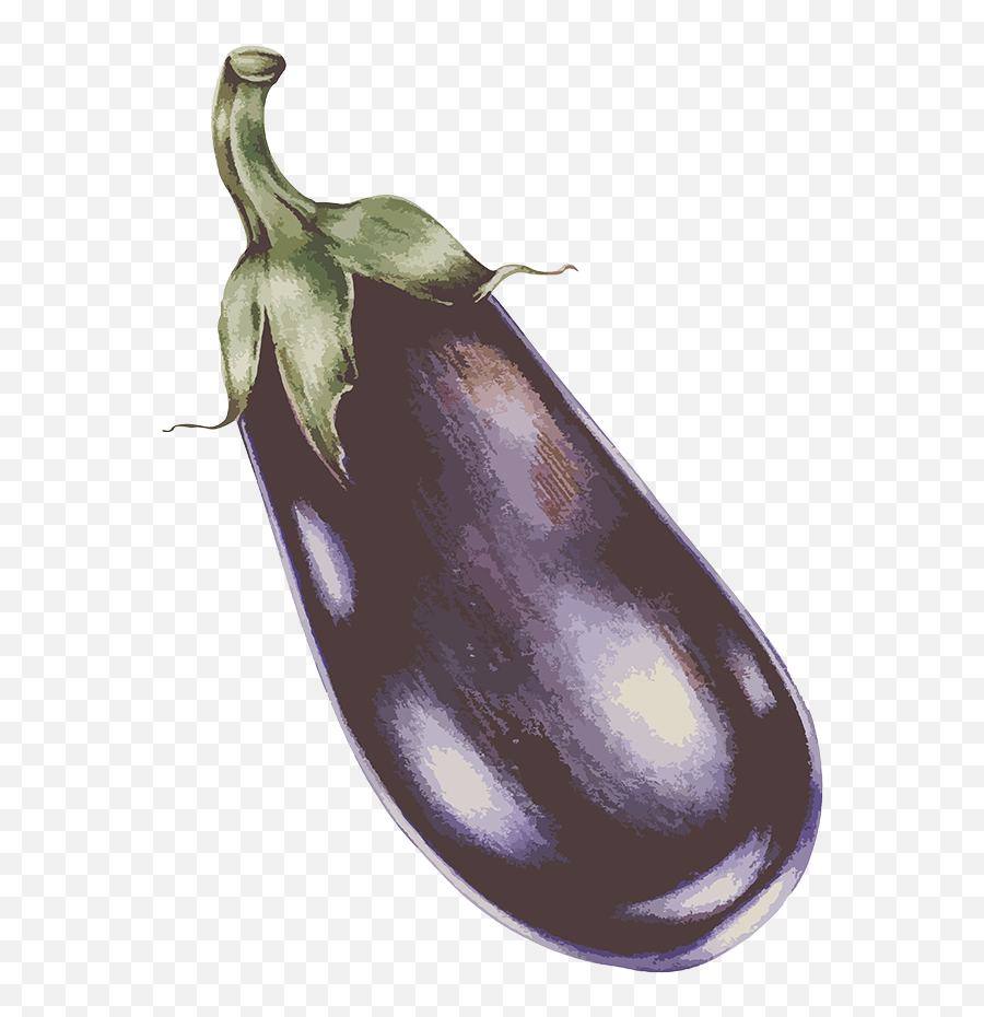 Organic Vegetable Seeds In Samen Maieru0027s Onlineshop - Eggplant Vintage Png Emoji,Soggy Lettuce Emoji