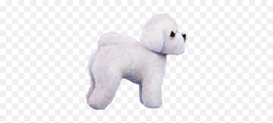 Bichon Frise Facts - Wisdom Panel Dog Breeds Emoji,White Toy Poodle Emoticon