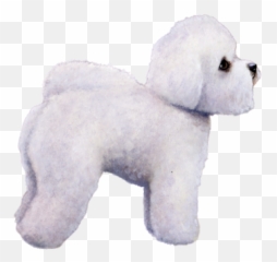Bichon Frise Facts - Wisdom Panel Dog Breeds Emoji,White Toy Poodle Emoticon