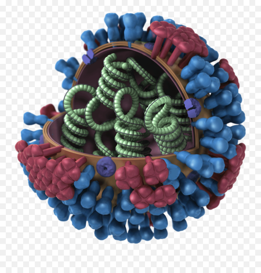 Germ Clipart Flu Germ Germ Flu Germ Transparent Free For - Hpv Virus Model Inside Emoji,Amoeba Emoji