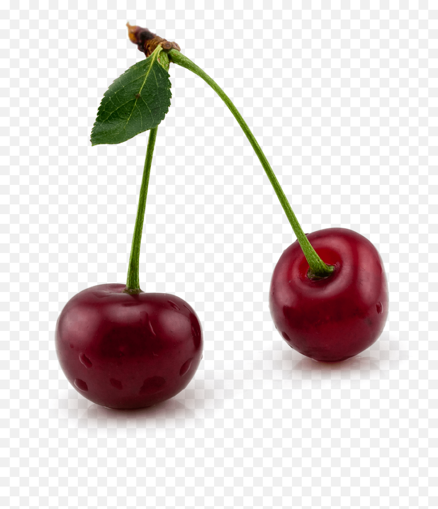 Cherry Clipart Meaning - Clipart Real Cherry Png Emoji,Cherry Emoticon