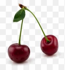 Cherry Clipart Meaning - Clipart Real Cherry Png Emoji,Cherry Emoticon