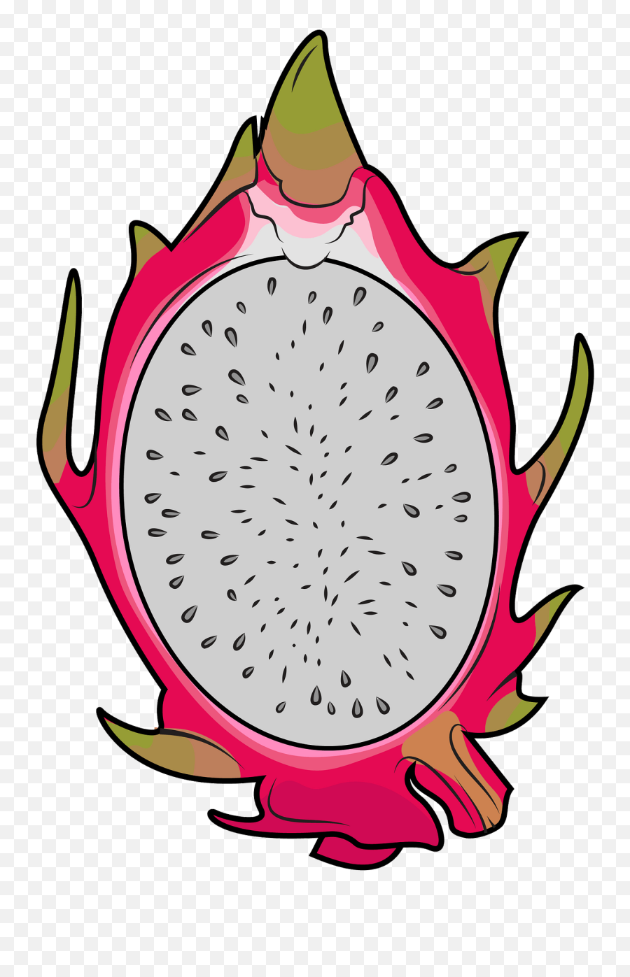 Half Dragon Fruit Clipart - Transparent Dragon Fruit Clipart Emoji,Dragon Emoji Apple