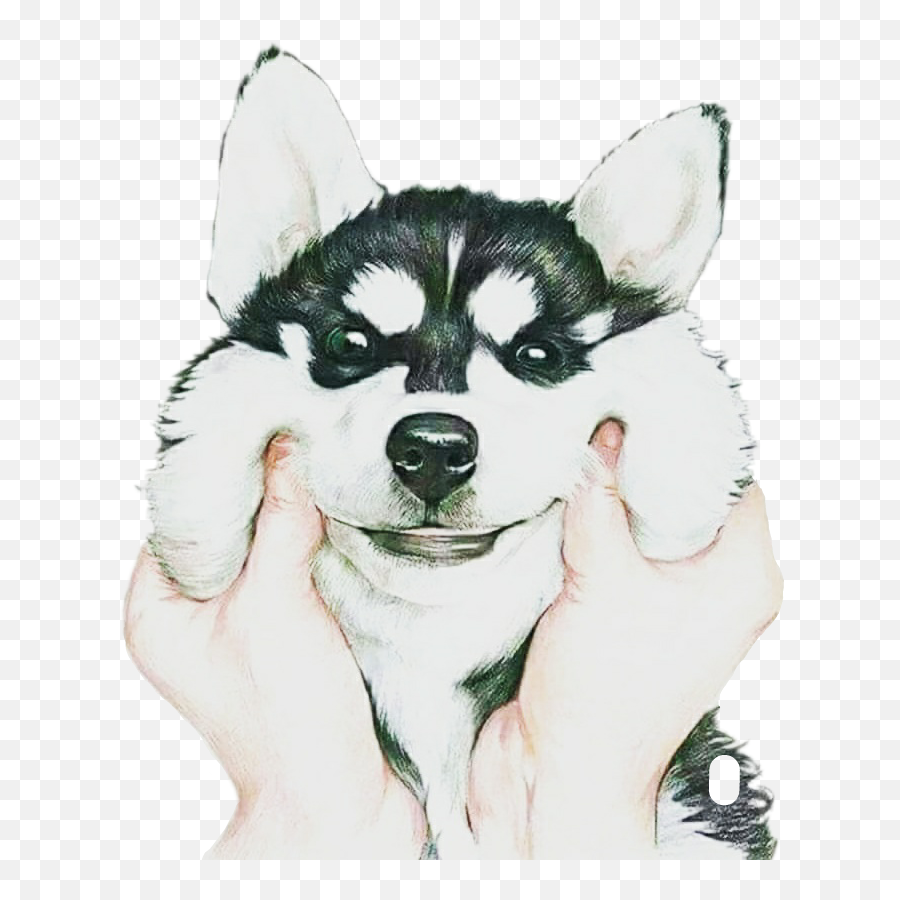 Dog Husky Puppy Cute Sticker - Cute Husky Emoji,Husky Emoji