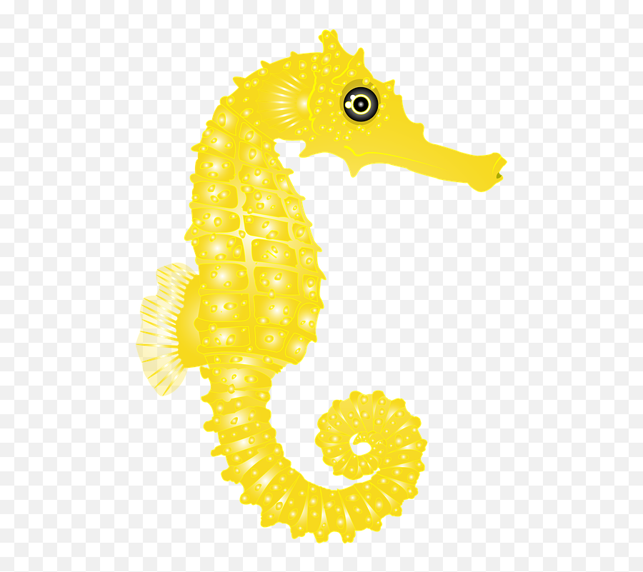 Caballito De Mar Amarillo Marinos - Girly Emoji,Tipo De Espanol Sehorse Emoji