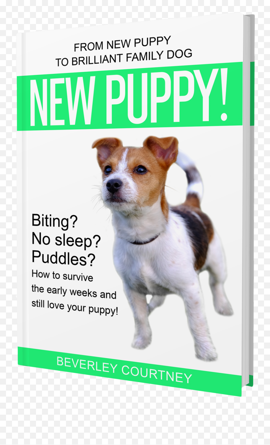 I Have A New Puppy Will I Ever Get Any Sleep Again - Collar Emoji,Emotions Lost Your Dog Images