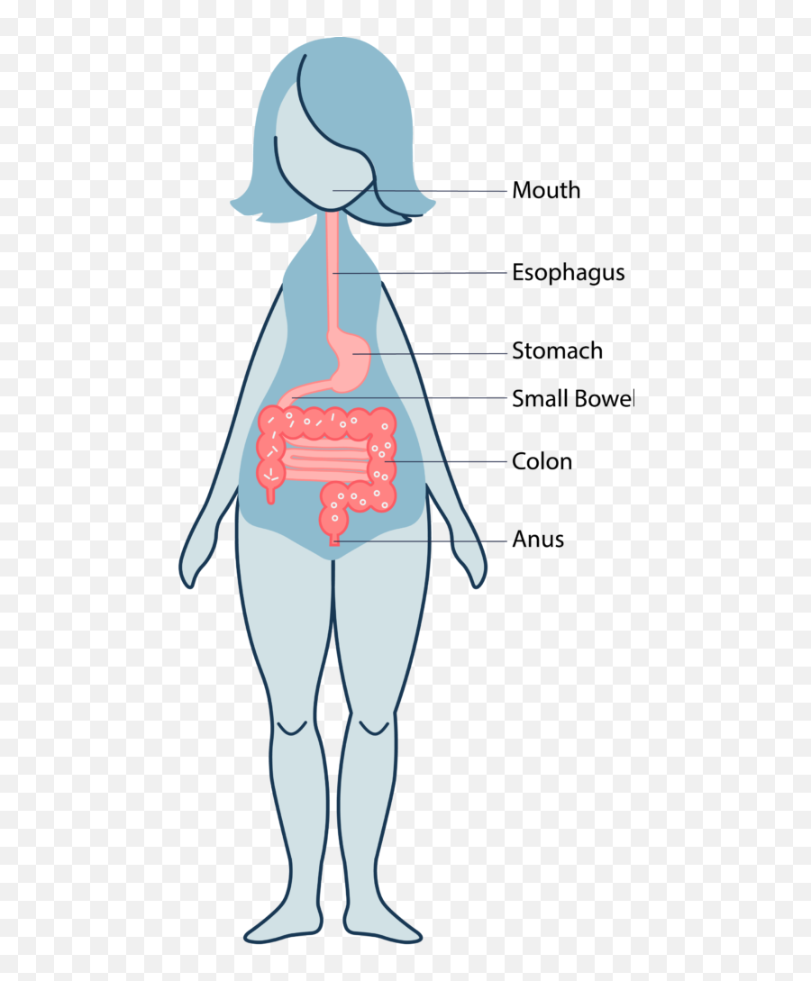 Ascending Colon - Standing Around Emoji,Hack Daniels Emoji Movie